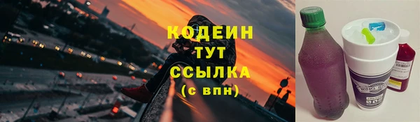 шишки Снежинск