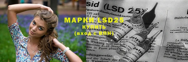 PSILOCYBIN Алексеевка
